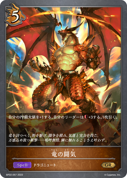 竜の闘気