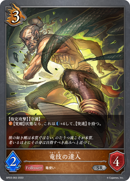 竜技の達人