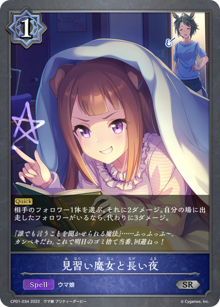 見習い魔女と長い夜